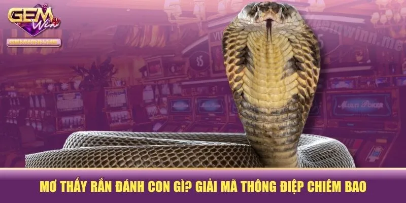 Mơ Thấy Rắn Đánh Con Gì? Giải Mã Thông Điệp Chiêm Bao